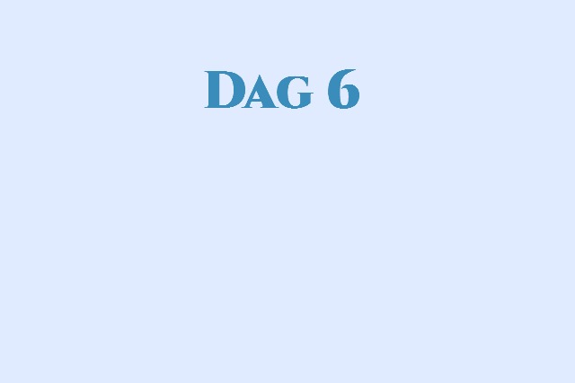 Dag 6 med Flyladys myrsteg (babysteps)